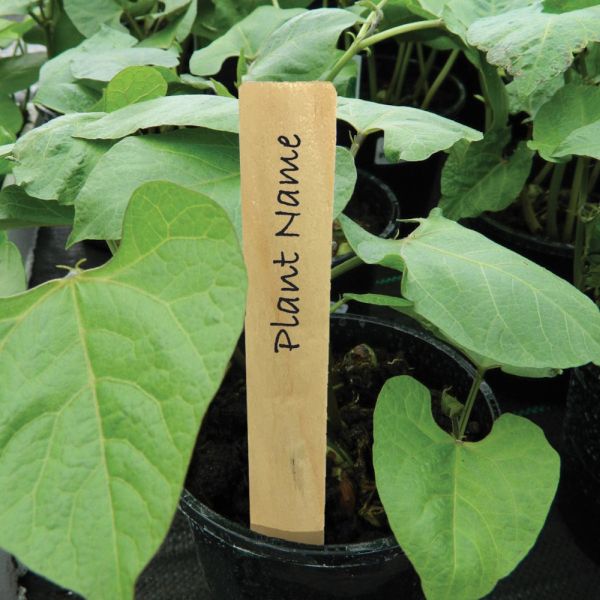 15cm 6" Wooden Plant Labels 10